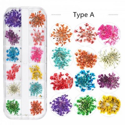 New Pressed Dry Flowers Nail Art 3d Natural Real Dried Flowers For Nails Decoration Wholesale Suppliers